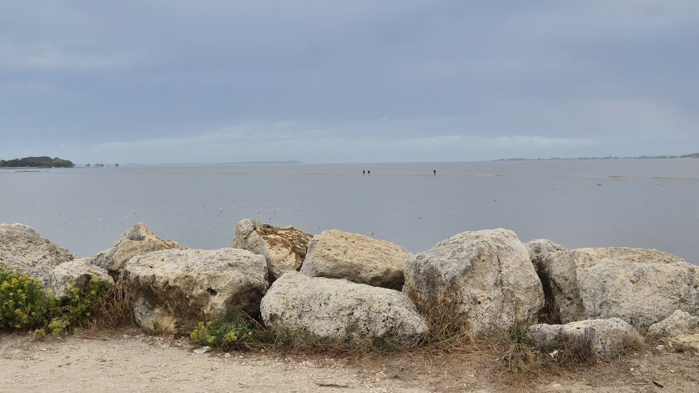 Port-des-Barques a ústí řeky Charente