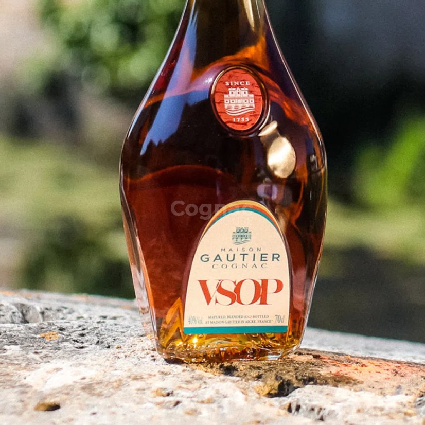 Gautier VSOP 40% 0,7l (karton)