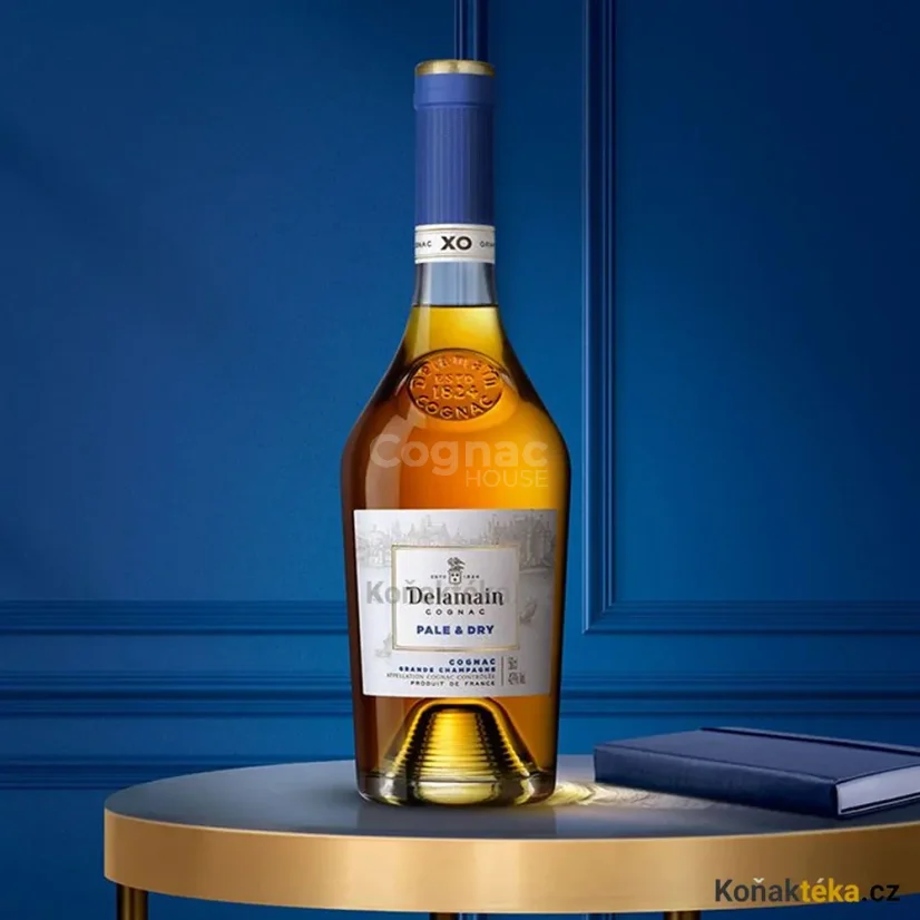 Delamain XO Pale & Dry 40% 0,7l (karton)