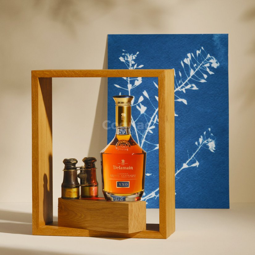 Delamain XXO 40% 0,7l (dárková kazeta)