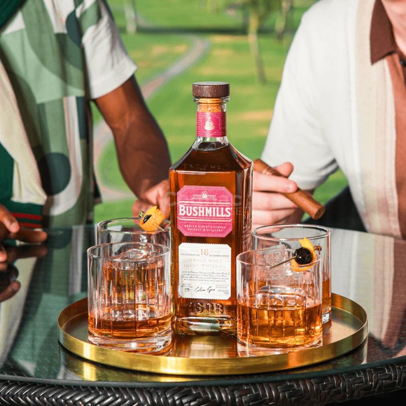 Bushmills 16YO Rare 40% 0,7 l (dárkový box)