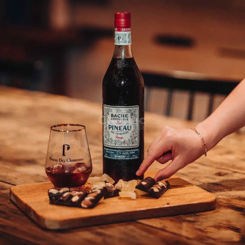 Pineau des Charentes Bache Gabrielsen Rouge 17% 0,75l (holá lahev)