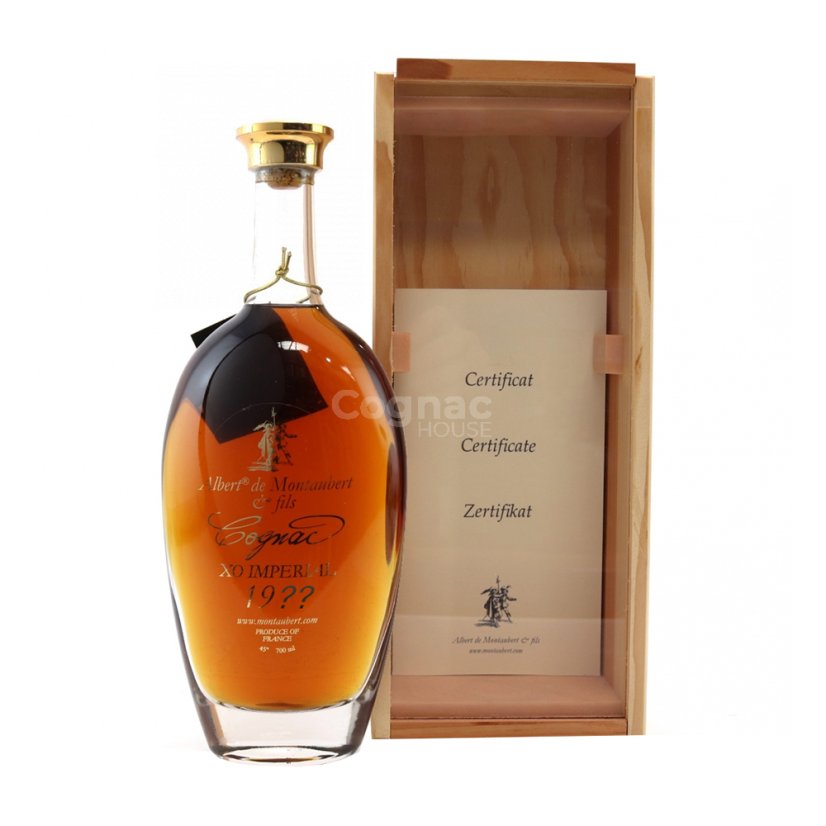 Albert de Montaubert Cognac 1996 45% 0,7 l (kazeta)