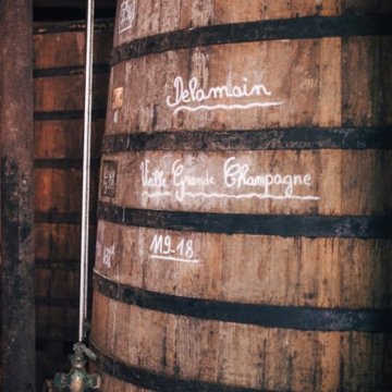 Delamain – aristokrat mezi koňaky