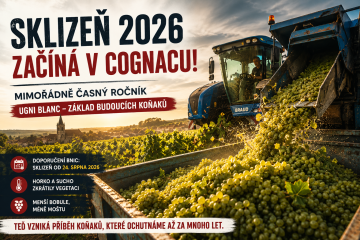 Sklizeň 2026 začíná: Cognac zažívá mimořádně časný ročník