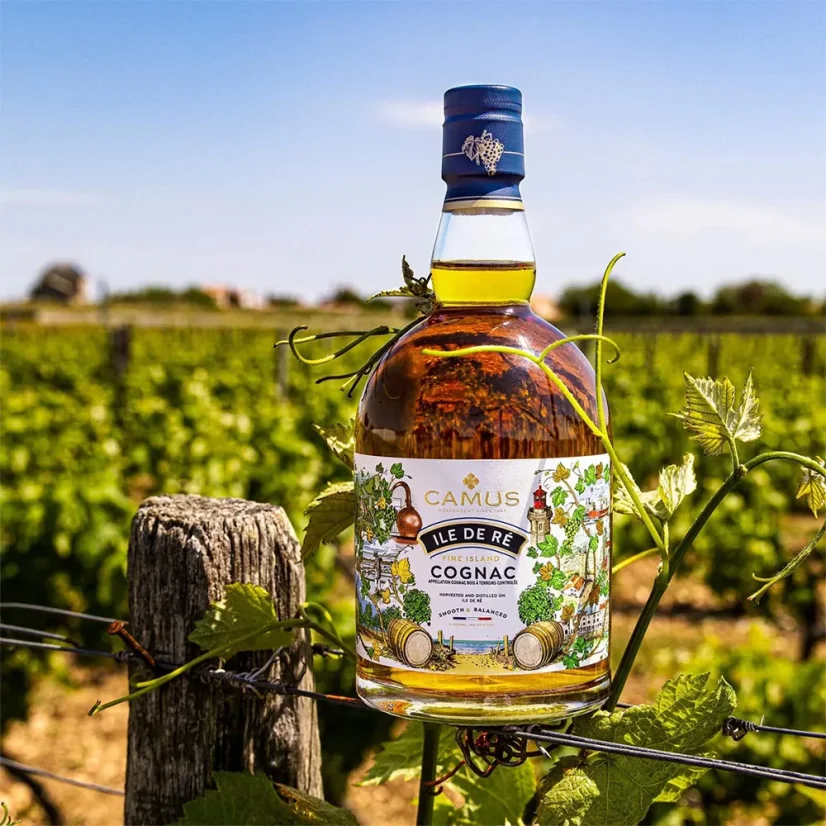 Camus Ile de Ré Fine Island 40% 0,7l (karton) 2024