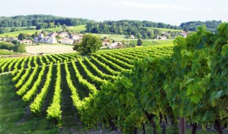 Oblast Grande Champagne