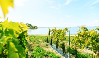 Oblast Bois Ordinaires