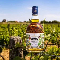 Camus Ile de Ré Fine Island 40% 0,7l (karton) 2024