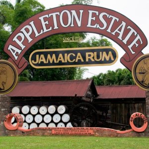 Appleton Estate – an Icon of Jamaican Rum