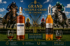 Sada Grand Steeple-Chase de Cognac