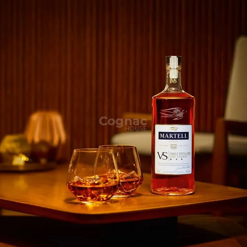 Martell VS 40% 0,7l (karton)