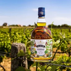 Camus Ile de Ré Fine Island 40% 0,7l (karton) 2024