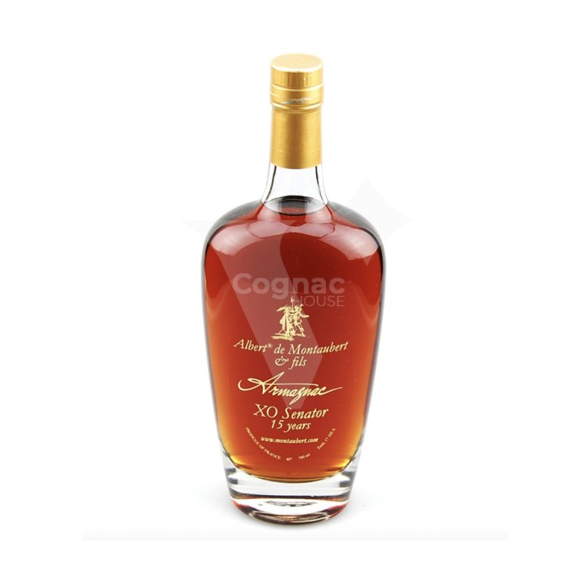 Albert de Montaubert Armagnac XO Senator 15 years 40% 0,7 l (dárkové balení)