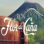 Flor de Caña 4yo Blanco 40% 1l (holá lahev)