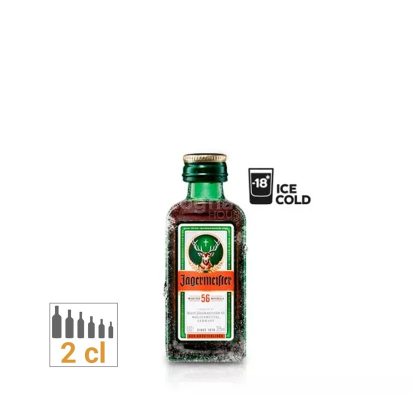 Jägermeister 35% 0,02l  (holá láhev)