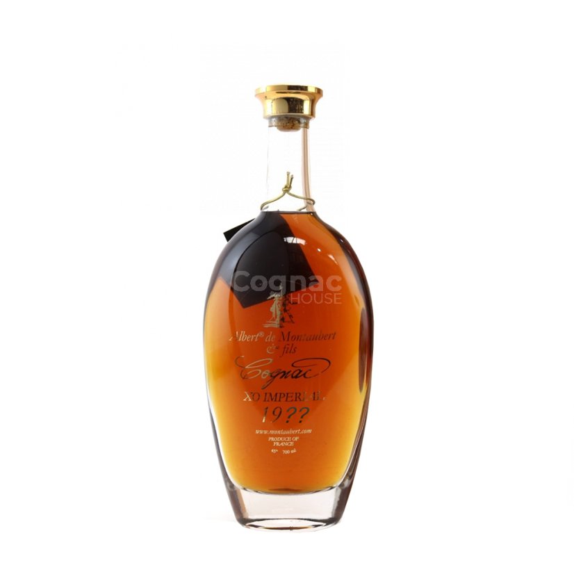 Albert de Montaubert Cognac 1996 45% 0,7 l (kazeta)