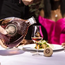 Camus XO Borderies 40% 0,7 l (karton)