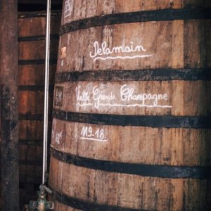 Delamain – aristokrat mezi koňaky