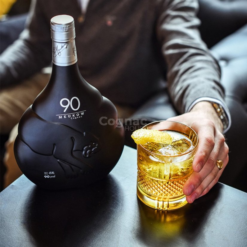 Meukow VS 90 45% 0,7l (holá lahev)