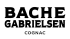Bache-Gabrielsen