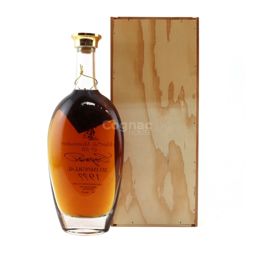Albert de Montaubert Cognac 1996 45% 0,7 l (kazeta)