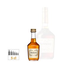 Hennessy VS 40% 0,05l (holá lahev)