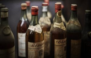 Bisquit – tradice elegance z francouzského Cognacu