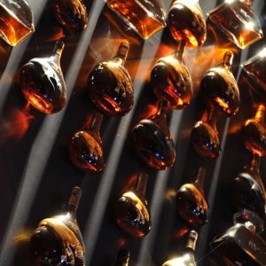 Meukow – síla elegance pod symbolem černé pumy