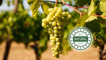 Organický koňak - příroda ve sklenici