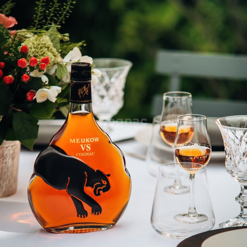 Meukow VS 40% 0,7l (karton)