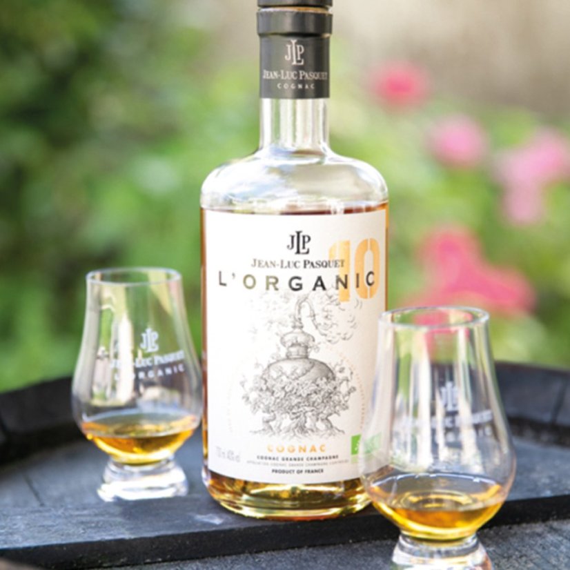 Jean-Luc Pasquet L´Organic 10ANS 40% 0,7l (karton)