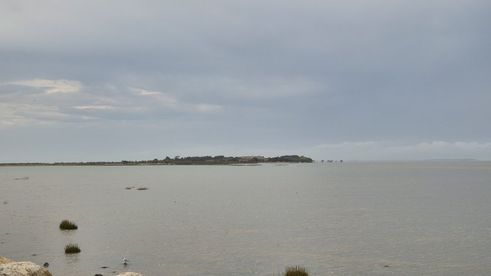 Řeka Charente u Atlantiku