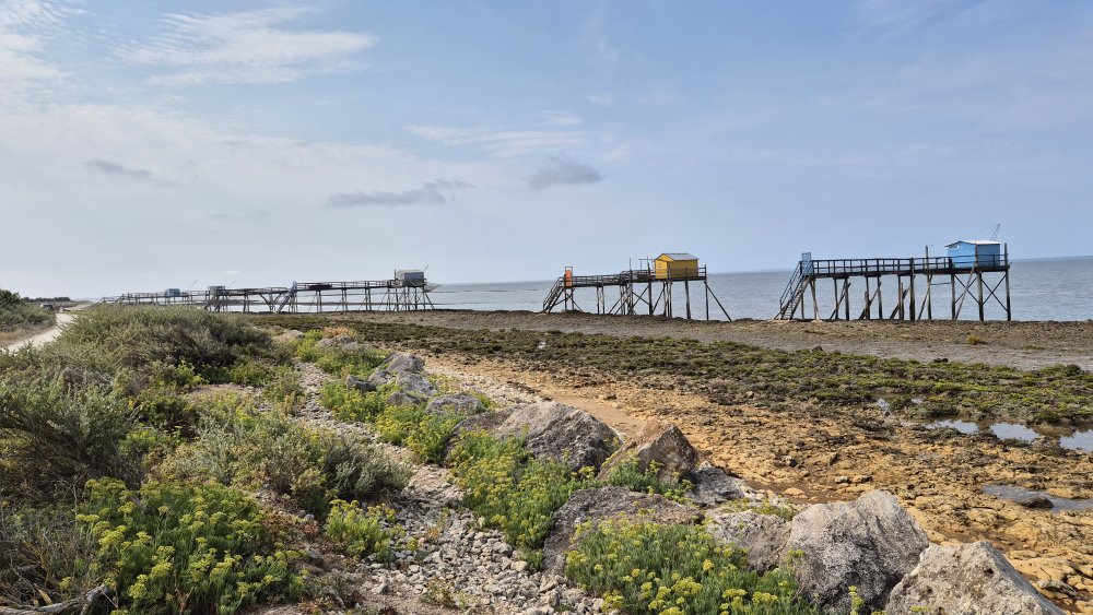 Île Madame v Charente-Maritime